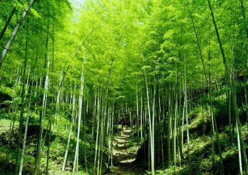 人少景美！五一小長(cháng)假最適合出游的的當地